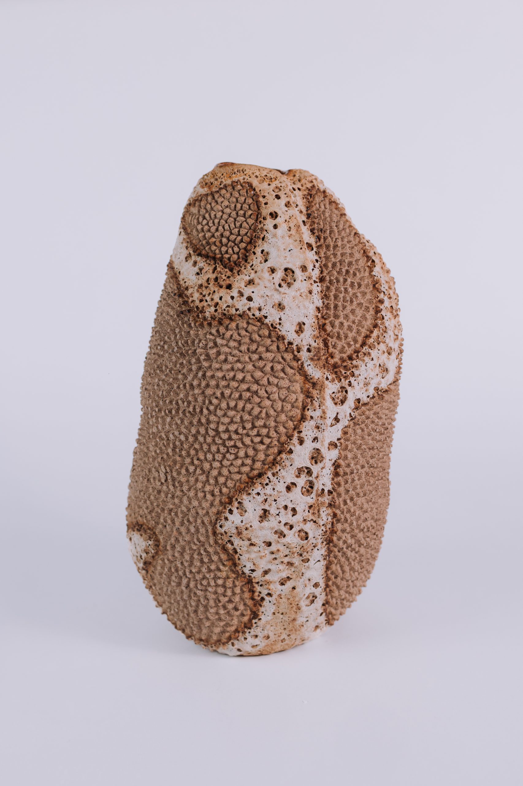 Fernanda_Polito_obras-57