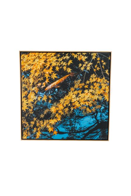 Koi em Tenju-An I