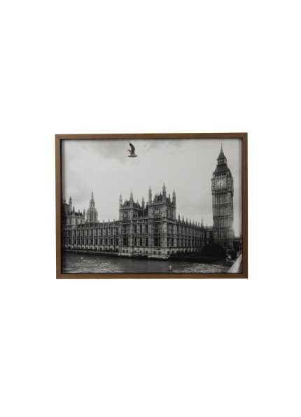 Gaivota em Westminster