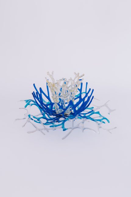 Coral de memórias